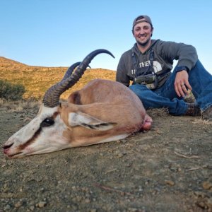 Springbok Hunt South Africa