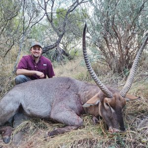 Waterbuck Hunt South Africa