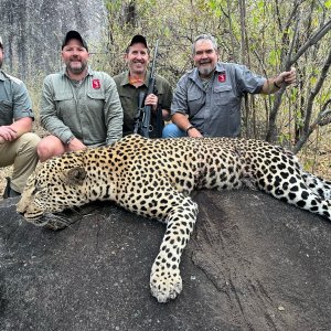 Hunting Leopard Zimbabwe