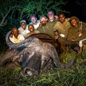 Northern Tanzania Buffalo Bull Hunt