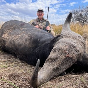 Buffalo Hunt South Africa