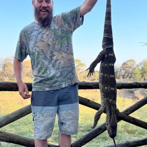 Monitor Lizard Hunt South Africa