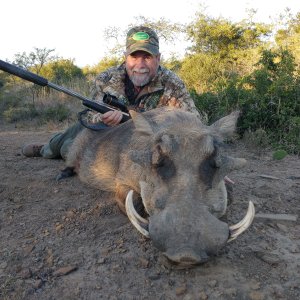 Warthog Hunt  Easten Cape South Africa