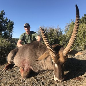 Waterbuck Hunt South Africa