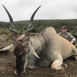 Eland Hunt South Africa