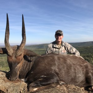 Bushbuck Hunt South Africa