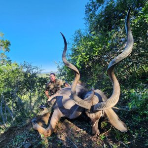 Kudu Hunt South Africa