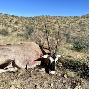 Gemsbok Hunt Namibia