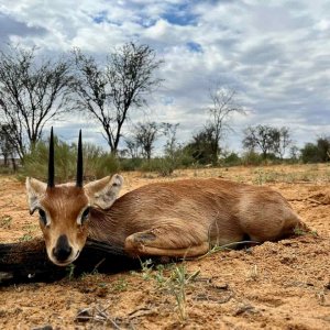 Steenbuck with Zana Botes Safari