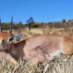 Steenbuck With Zana Botes Sfari