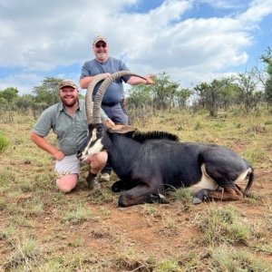 Sable Hunt South Africa