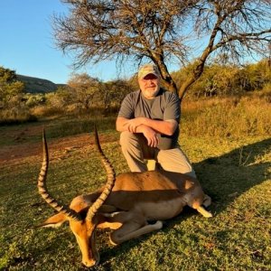 Impala Hunt South Africa