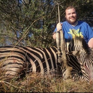 Zebra Hunt South Africa