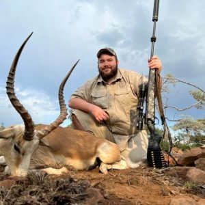 Impala Hunt South Africa