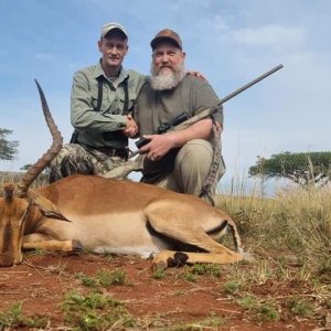 Impala Hunt South Africa