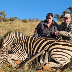 Zebra Hunt South Africa