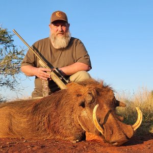 Warthog Hunt South Africa