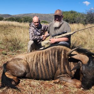 Blue Wildebeest Hunt South Africa