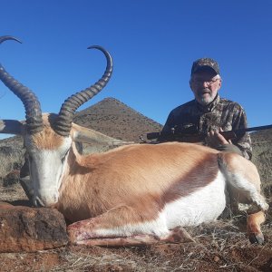 Hunting Springbok