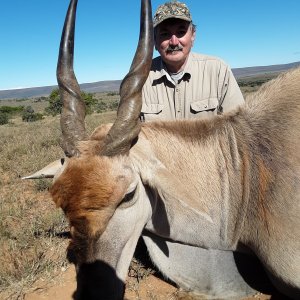 Eland Hunt South Africa