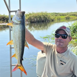 Fishing Tiger Fish Botswana