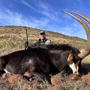 Sable Hunting South Africa