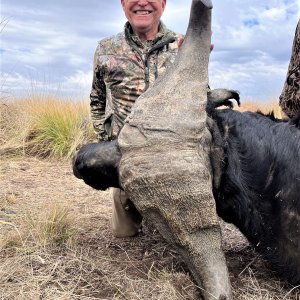 Buffalo Hunting South Africa