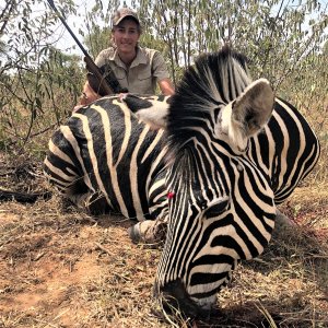 Zebra Hunting South Africa