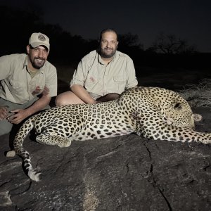 Leopard Hunt Zimbabwe