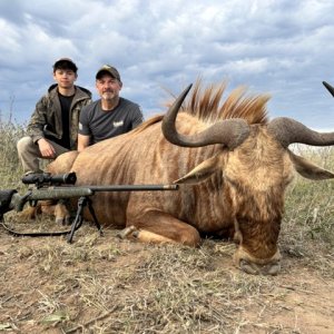 Golden Wildebeest Hunt South Africa