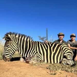 Zebra Hunt South Africa