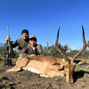 Impala Hunt South Africa