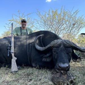 Buffalo Hunt South Africa