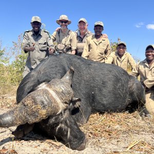 Buffalo Hunt Namibia