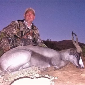 Springbok Hunting Eastern Cape South Africa