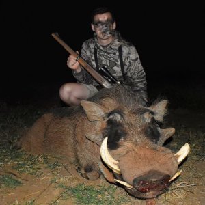 Warthog Hunt South Africa