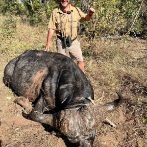 Buffalo Hunt Zimbabwe