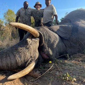 Elephant Hunt Zimbabwe