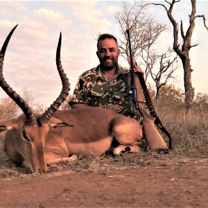 Hunting Impala South Africa