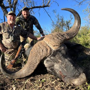 Buffalo Hunting Eastern Cape South Africa