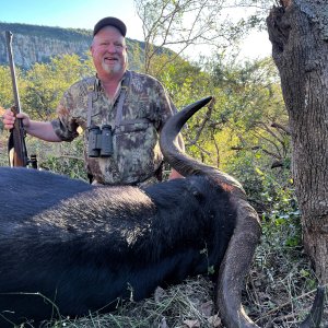 Buffalo Hunting Eastern Cape South Africa