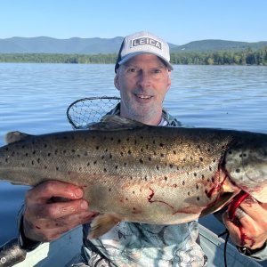 Brown Trout from Pepacton Reservoir in NY