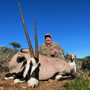 Gemsbok Hunting Eastern Cape South Africa