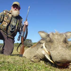 Warthog Hunt South Africa