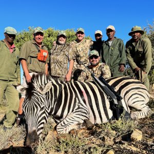 Zebra Hunting Eastern Cape South Africa