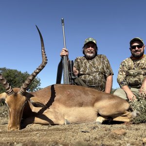 Impala Hunting Eastern Cape South Africa