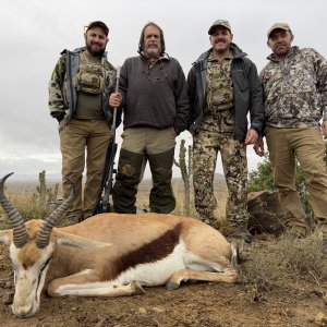 Springbok Hunting Eastern Cape South Africa