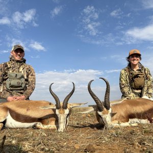 Springbok Hunt South Africa