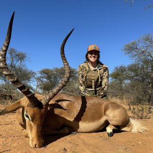 Impala Hunt South Africa