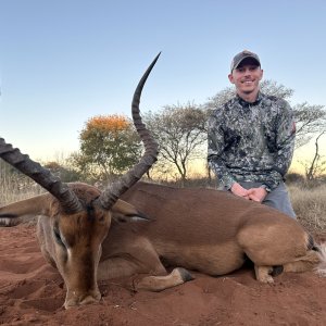 Impala Hunt South Africa